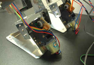 足首部分の写真