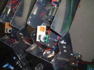 ヒザ関節の様子