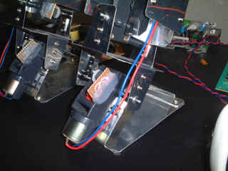 かかと足首の様子