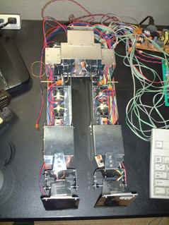 直立姿勢の写真