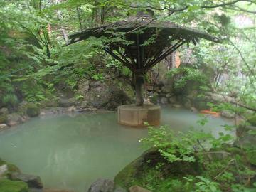 露天・河の湯の写真