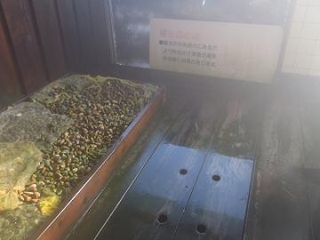 穴から吹き出す蒸気による「痔治療の湯」の写真